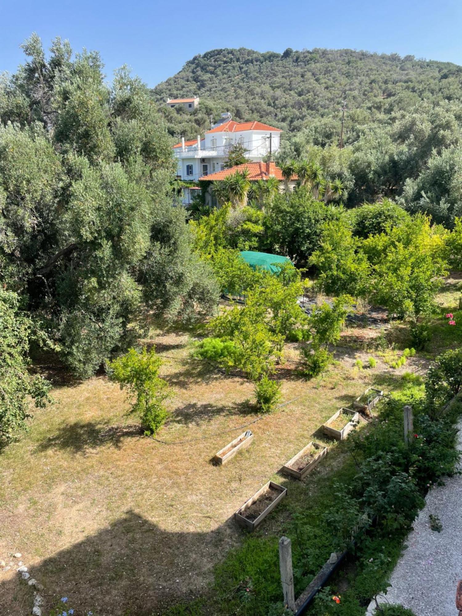 Beachfront Estate In Agios Isidoros Plomari Dış mekan fotoğraf